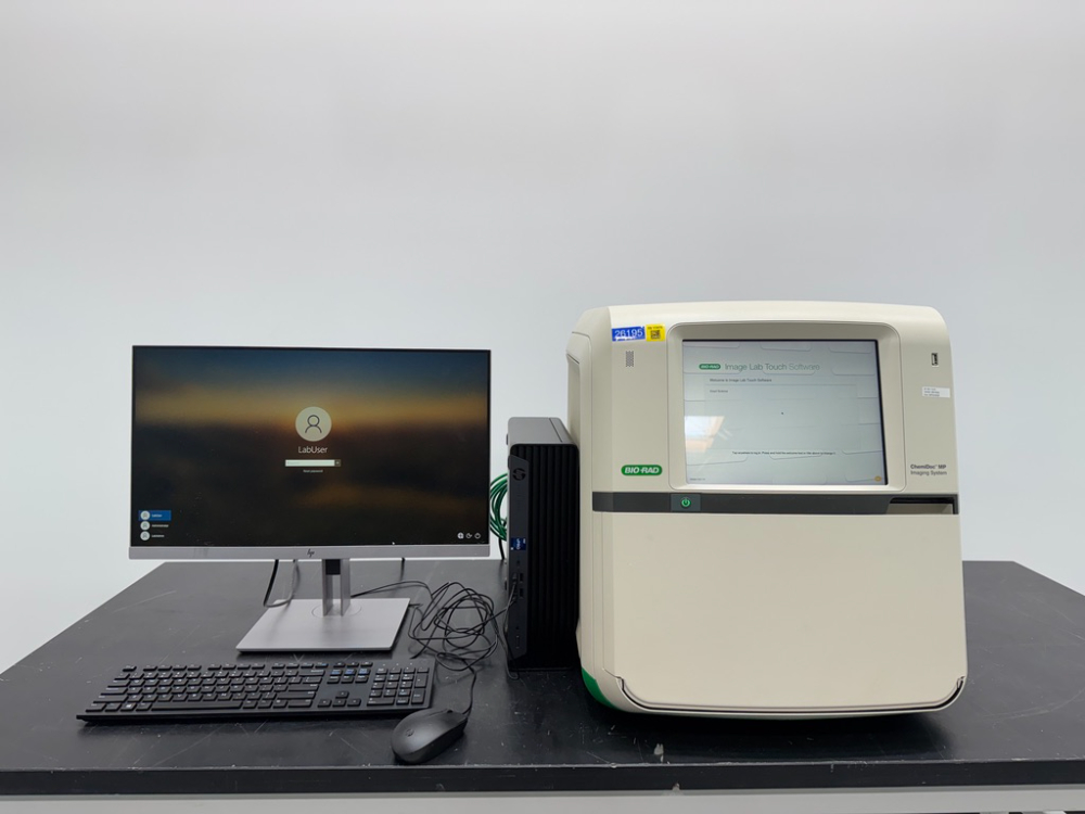 Image of Bio-Rad ChemiDoc MP Imaging System